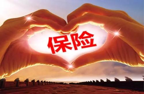 人壽重大疾病保險，哪種比較好？
