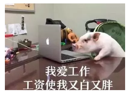 發(fā)生車禍如何快速理賠？
