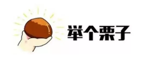 什么是年金轉(zhuǎn)換？