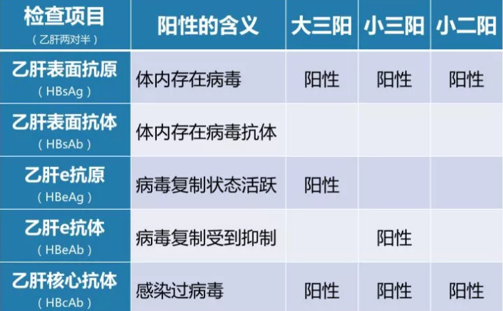 乙肝病毒攜帶者應(yīng)該如何正確投保？