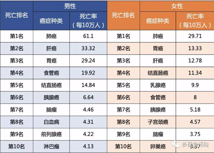 女性高發(fā)重疾怎么選？