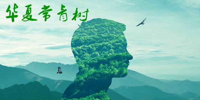 華夏常青樹(shù)多倍版和華夏福哪個(gè)好 包含自然身故嗎？